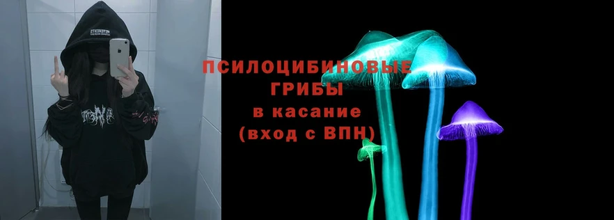 Галлюциногенные грибы Psilocybe  даркнет сайт  ОМГ ОМГ   Коломна 